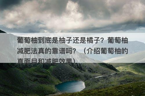葡萄柚到底是柚子还是橘子？葡萄柚减肥法真的靠谱吗？（介绍葡萄柚的真面目和减肥效果）
