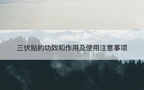 三伏贴的功效和作用及使用注意事项