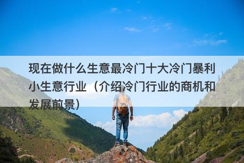 现在做什么生意最冷门十大冷门暴利小生意行业（介绍冷门行业的商机和发展前景）