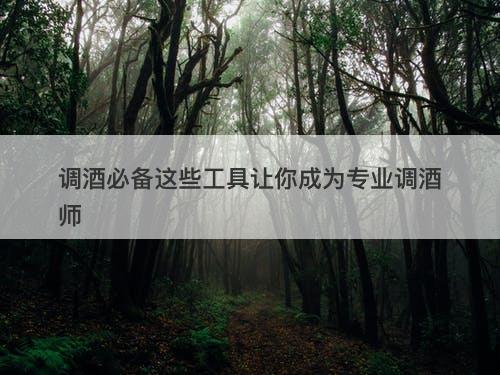 调酒必备这些工具让你成为专业调酒师