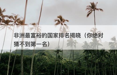 非洲最富裕的国家排名揭晓（你绝对猜不到第一名）