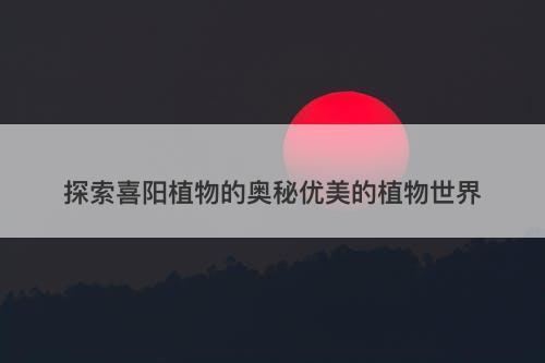探索喜阳植物的奥秘优美的植物世界
