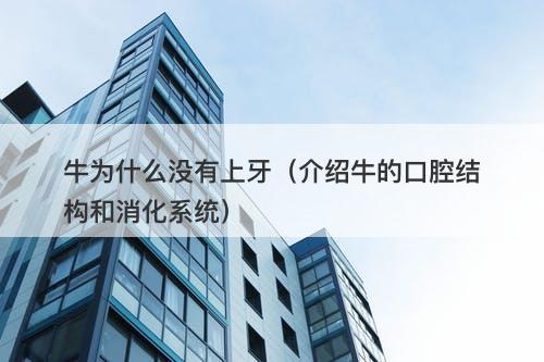 牛为什么没有上牙（介绍牛的口腔结构和消化系统）