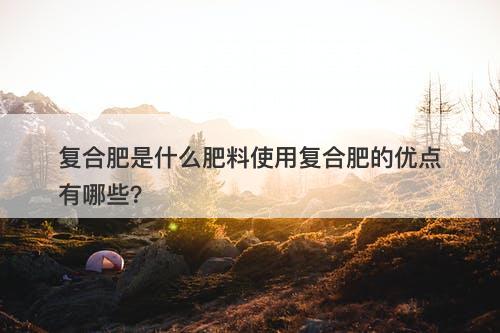 复合肥是什么肥料使用复合肥的优点有哪些？