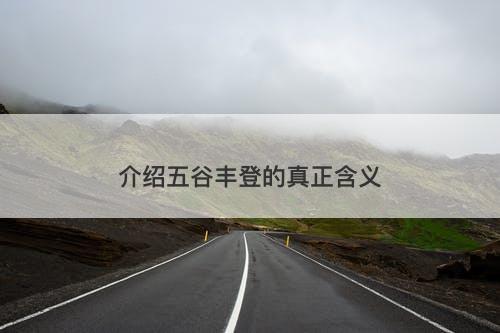 介绍五谷丰登的真正含义