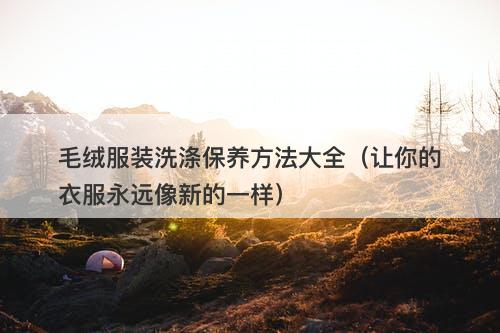 毛绒服装洗涤保养方法大全（让你的衣服永远像新的一样）
