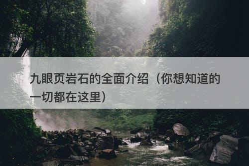 九眼页岩石的全面介绍（你想知道的一切都在这里）-图1