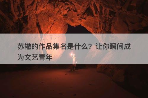 苏辙的作品集名是什么？让你瞬间成为文艺青年