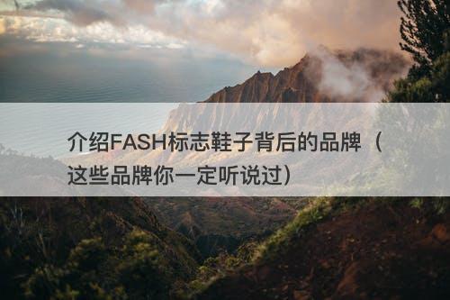介绍FASH标志鞋子背后的品牌（这些品牌你一定听说过）