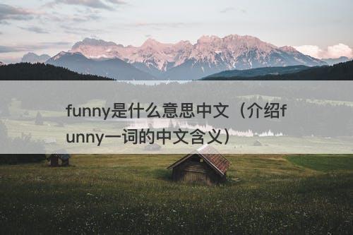 funny是什么意思中文（介绍funny一词的中文含义）
