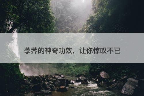 荸荠的神奇功效，让你惊叹不已