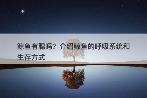鲸鱼有腮吗？介绍鲸鱼的呼吸系统和生存方式