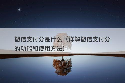 微信支付分是什么（详解微信支付分的功能和使用方法）