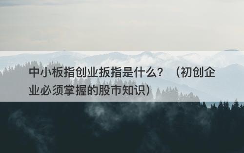 中小板指创业扳指是什么？（初创企业必须掌握的股市知识）