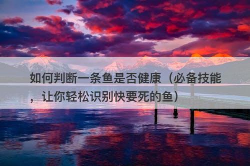 如何判断一条鱼是否健康（必备技能，让你轻松识别快要死的鱼）
