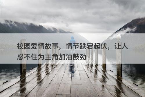 校园爱情故事，情节跌宕起伏，让人忍不住为主角加油鼓劲