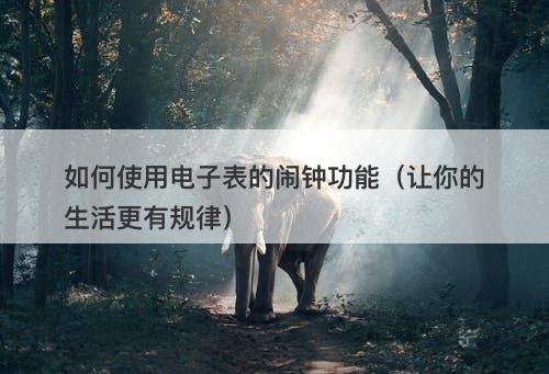 如何使用电子表的闹钟功能（让你的生活更有规律）