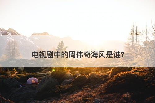 电视剧中的周伟奇海风是谁？