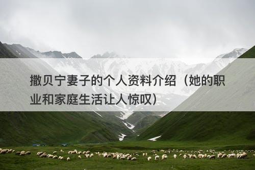 撒贝宁妻子的个人资料介绍（她的职业和家庭生活让人惊叹）