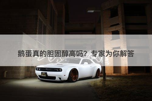 鹅蛋真的胆固醇高吗？专家为你解答