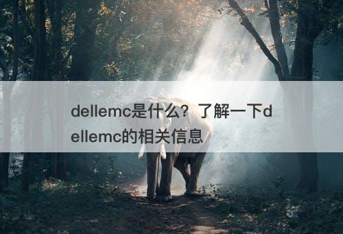 dellemc是什么？了解一下dellemc的相关信息