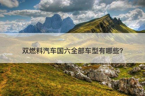 双燃料汽车国六全部车型有哪些？