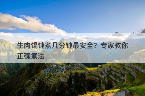 生肉馄饨煮几分钟最安全？专家教你正确煮法