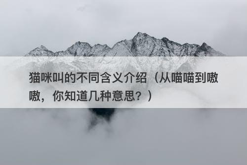 猫咪叫的不同含义介绍（从喵喵到嗷嗷，你知道几种意思？）