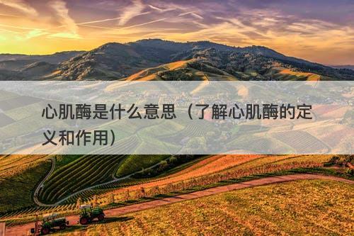 心肌酶是什么意思（了解心肌酶的定义和作用）