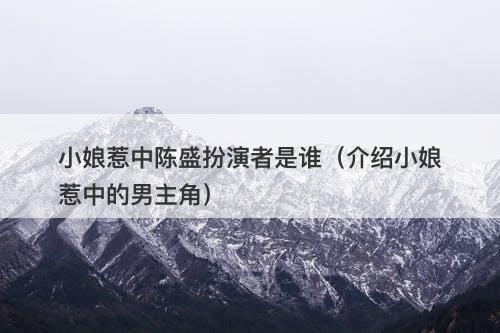 小娘惹中陈盛扮演者是谁（介绍小娘惹中的男主角）