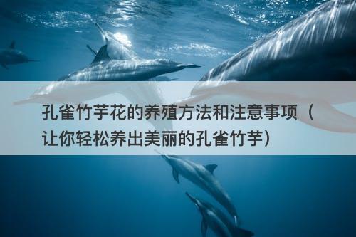 孔雀竹芋花的养殖方法和注意事项（让你轻松养出美丽的孔雀竹芋）