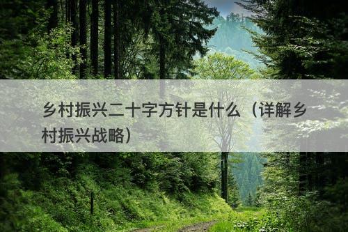 乡村振兴二十字方针是什么（详解乡村振兴战略）-图1