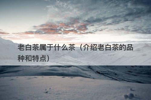老白茶属于什么茶（介绍老白茶的品种和特点）-图1