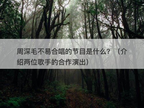 周深毛不易合唱的节目是什么？（介绍两位歌手的合作演出）