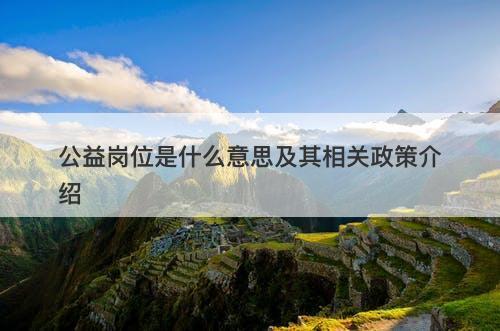 公益岗位是什么意思及其相关政策介绍