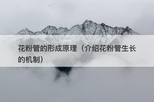 花粉管的形成原理（介绍花粉管生长的机制）