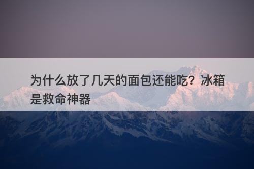 为什么放了几天的面包还能吃？冰箱是救命神器