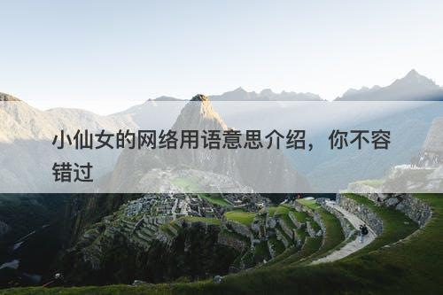 小仙女的网络用语意思介绍，你不容错过-图1
