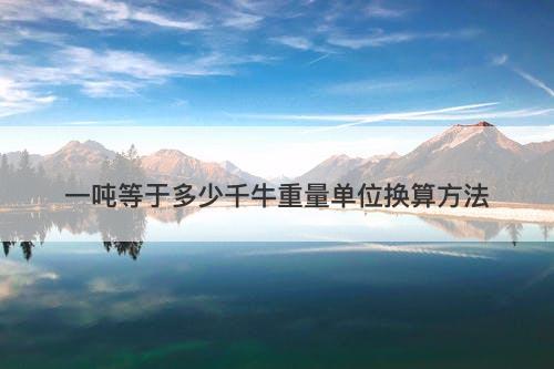 一吨等于多少千牛重量单位换算方法