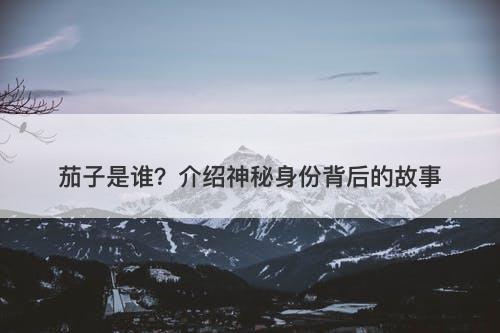 茄子是谁？介绍神秘身份背后的故事