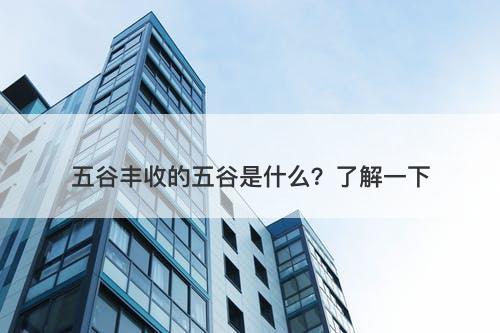 五谷丰收的五谷是什么？了解一下
