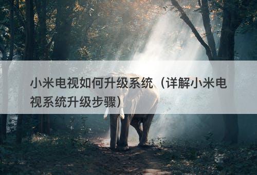 小米电视如何升级系统（详解小米电视系统升级步骤）