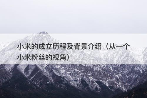 小米的成立历程及背景介绍（从一个小米粉丝的视角）