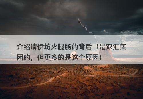 介绍清伊坊火腿肠的背后（是双汇集团的，但更多的是这个原因）