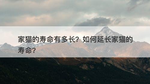 家猫的寿命有多长？如何延长家猫的寿命？