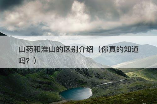 山药和淮山的区别介绍（你真的知道吗？）