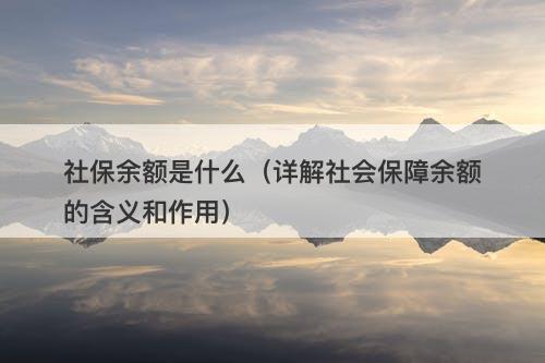社保余额是什么（详解社会保障余额的含义和作用）