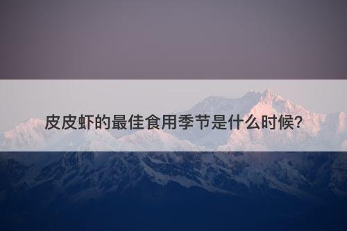 皮皮虾的最佳食用季节是什么时候？