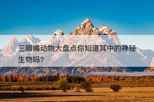 三瓣嘴动物大盘点你知道其中的神秘生物吗？