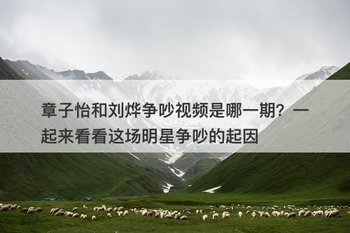 章子怡和刘烨争吵视频是哪一期？一起来看看这场明星争吵的起因